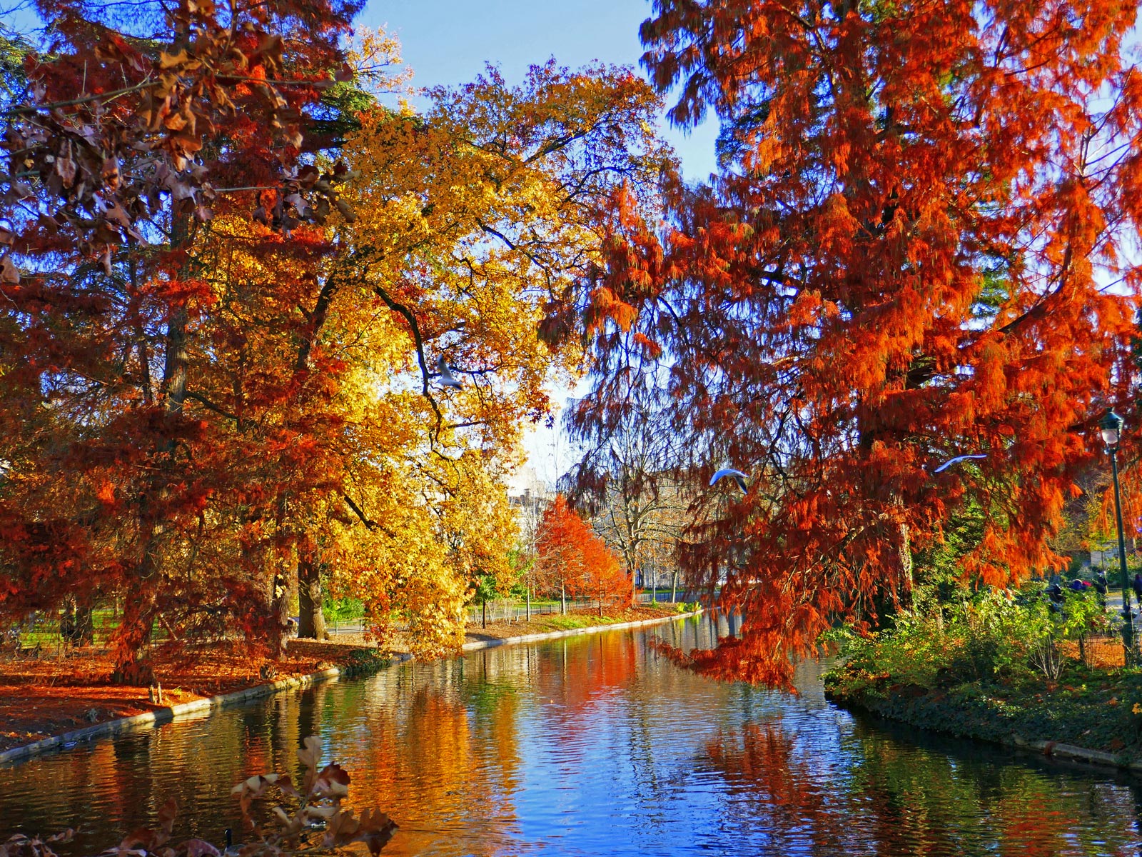 Que faire un automne à Bordeaux et en Gironde  ...