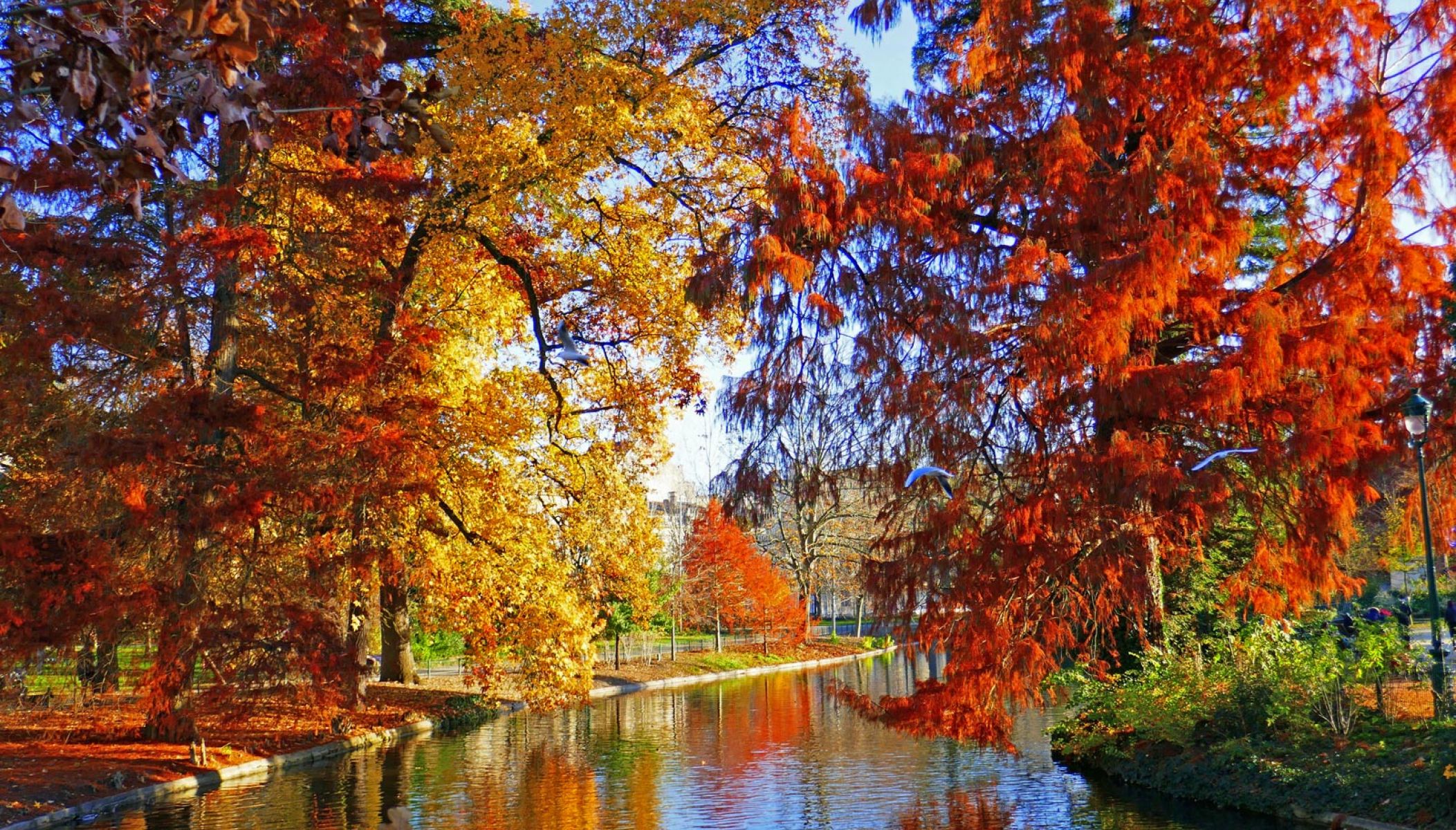 Que faire un automne à Bordeaux et en Gironde ? 10 idées originales