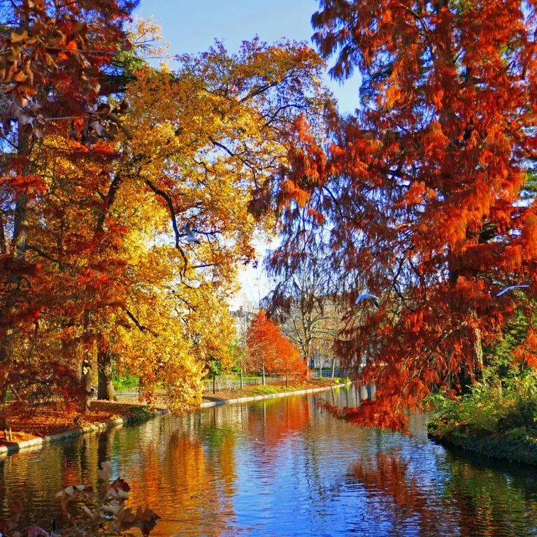 Que faire un automne à Bordeaux et en Gironde ...