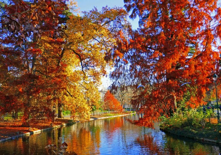 What to do in autumn in Bordeaux and Gironde? ...