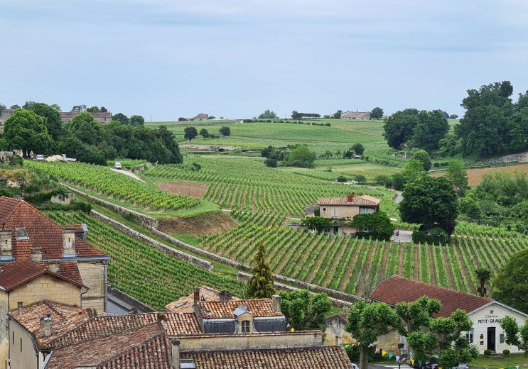 Le vignoble de Saint-Émilion