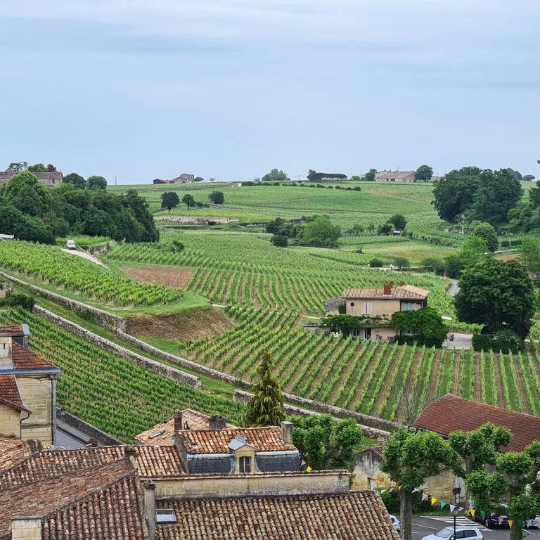 Le vignoble de Saint-Émilion