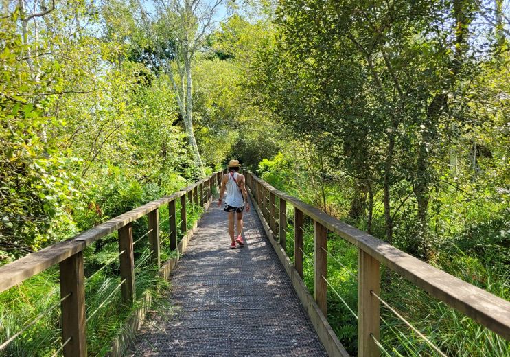 Promenade sur les passerelles suspendues de la ...
