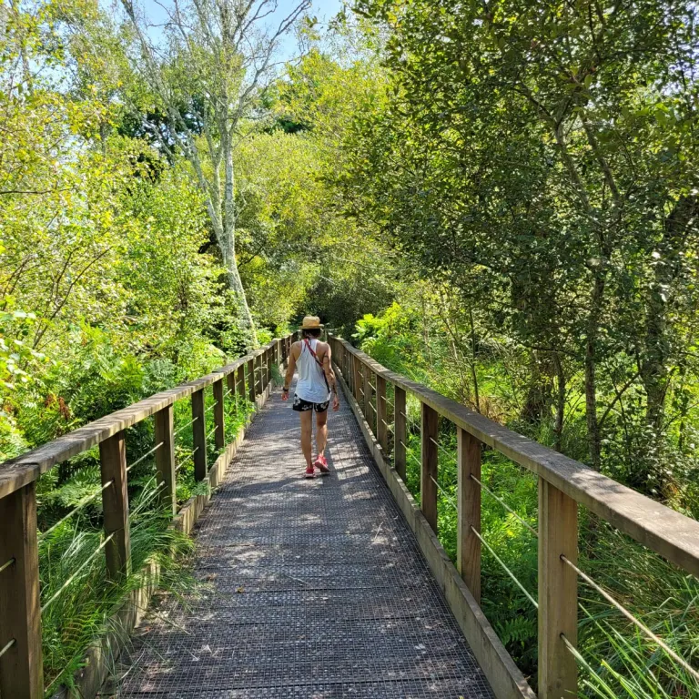 Promenade sur les passerelles suspendues de la ...