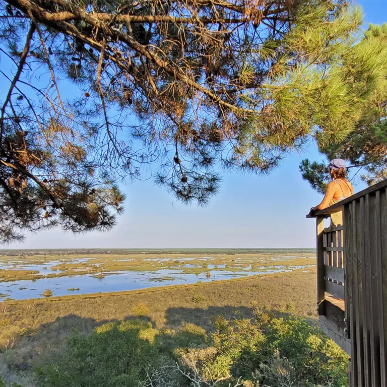 La Réserve Naturelle de l’Etang de Cousseau