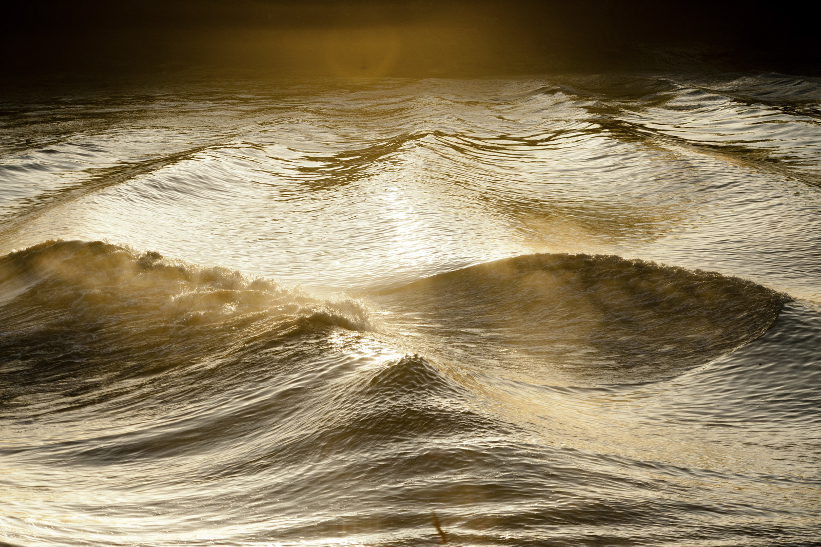 Come to see a tidal bore! - a giant wave on a  ...