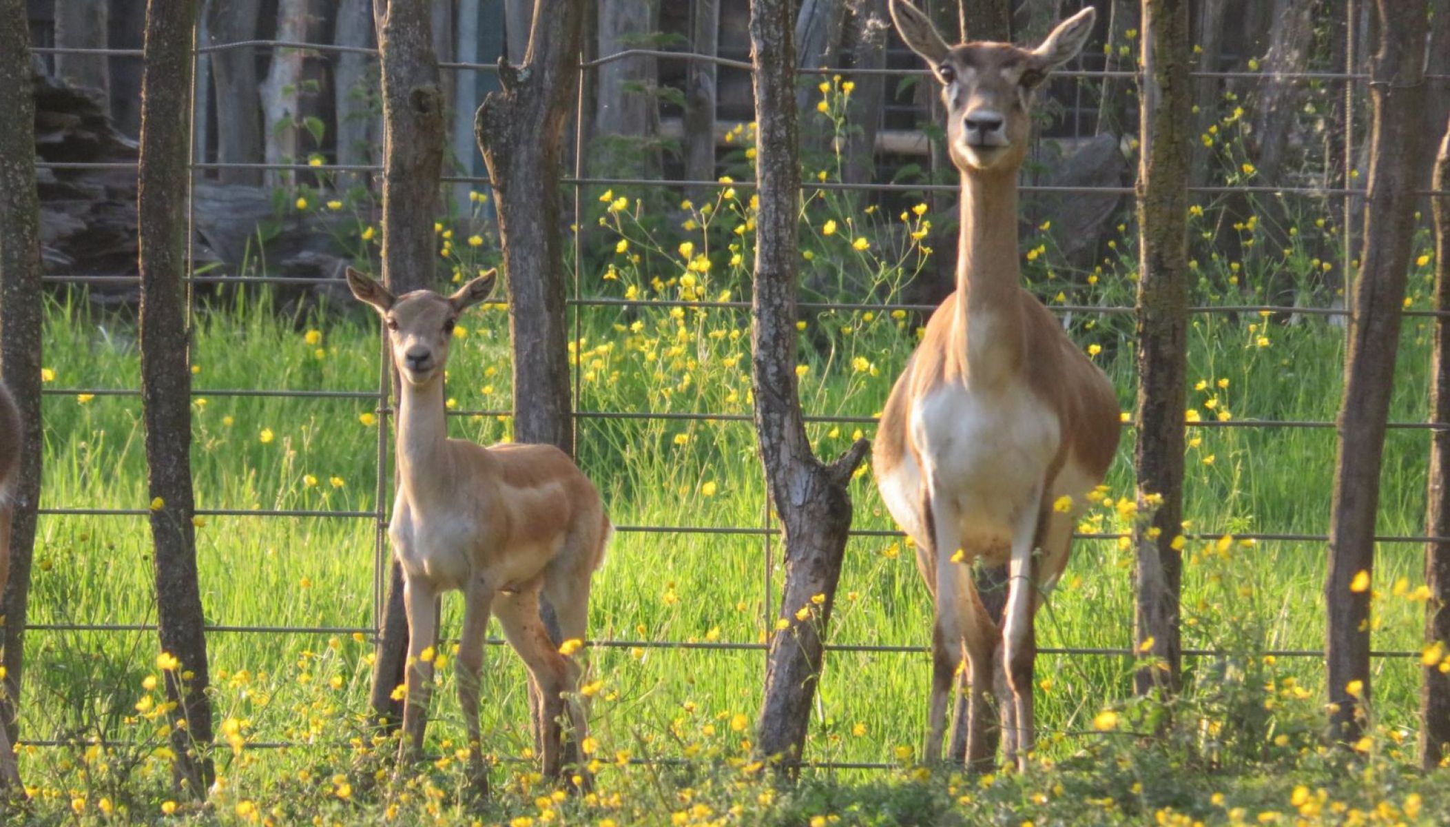 La Ferme Exotique, un parc animalier ludique et pédagogique près de Bordeaux