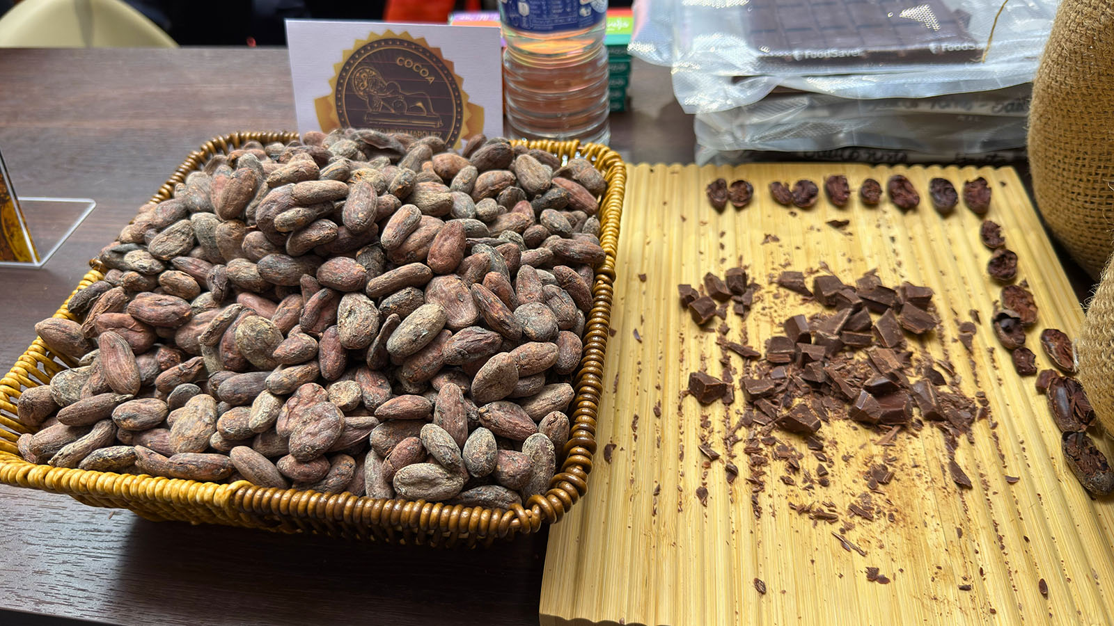 Festival Showcolat Bordeaux 2026 : Une immersion au pays du cacao d’exception