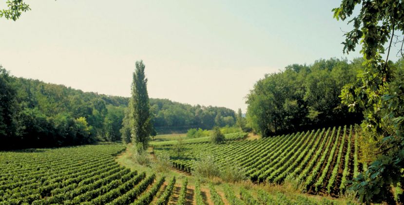 3 reasons to go to the médoc and enjoy the indian summer