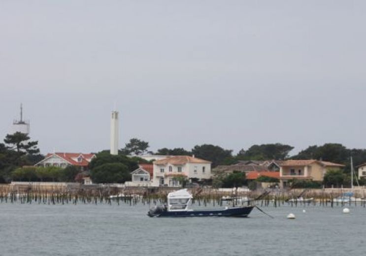 L'île aux Oiseaux avec l'Union des Bateliers A ...