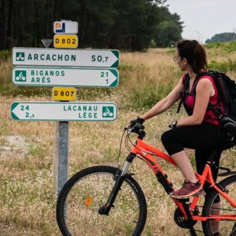 Le Tour du bassin d'Arcachon à vélo