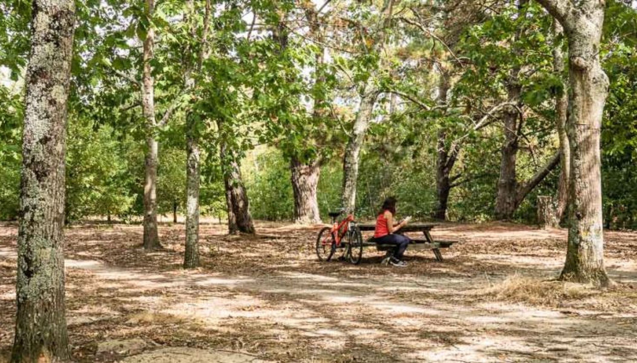 Nature bike ride north of Bordeaux