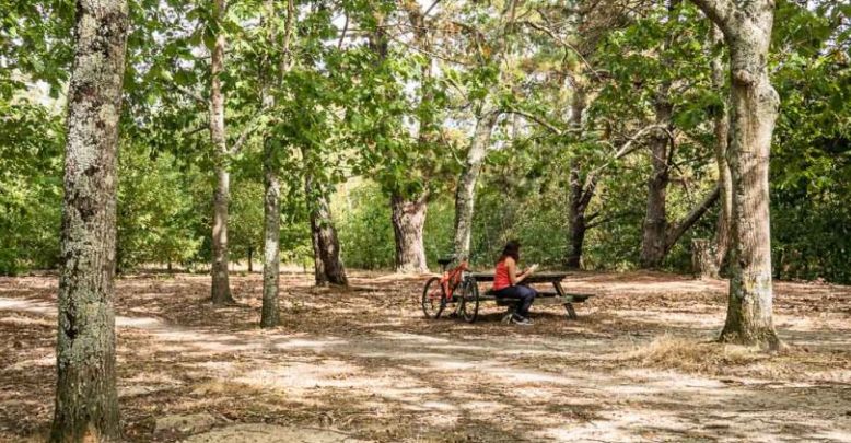 Balade à vélo nature au nord de Bordeaux
