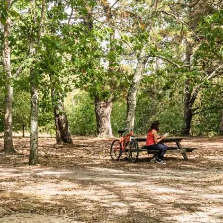 Balade à vélo nature au nord de Bordeaux