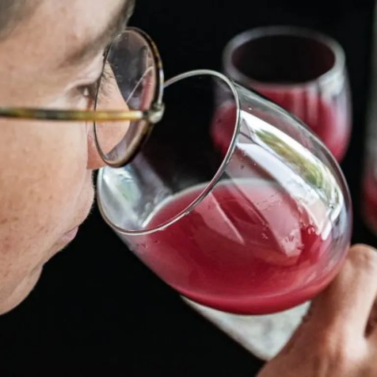 Discovery and tasting of "Bourru"or ephemeral wine