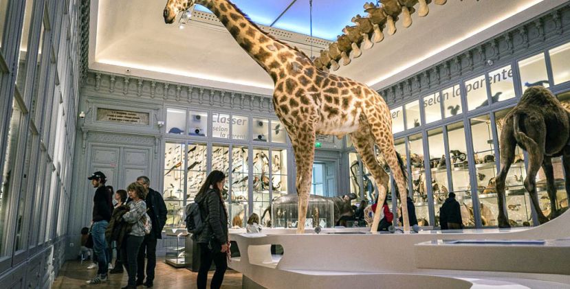 Visit of the Bordeaux Museum, next to the Publ ...