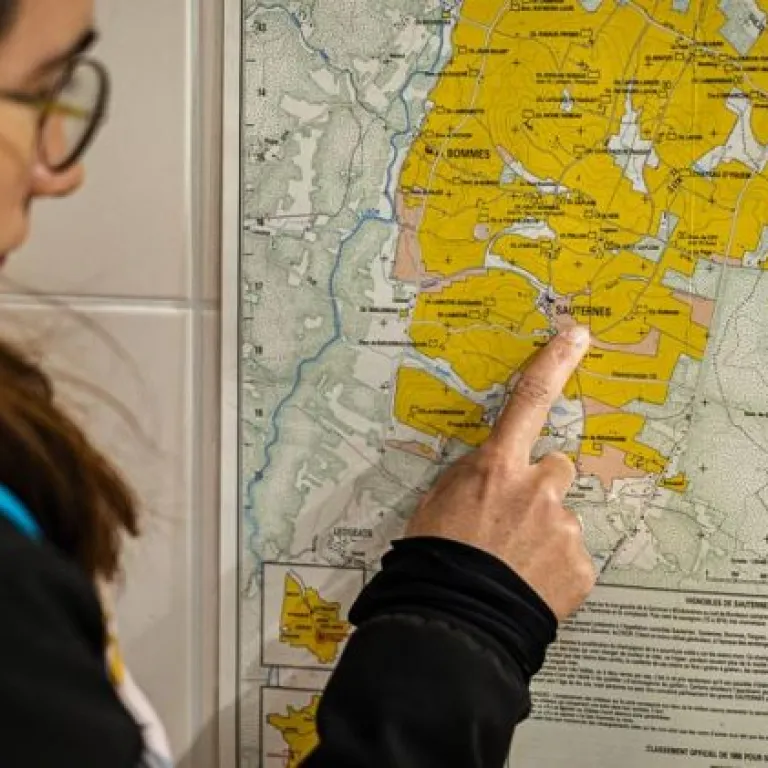 La route des vins de Bordeaux en Graves et Sau ...