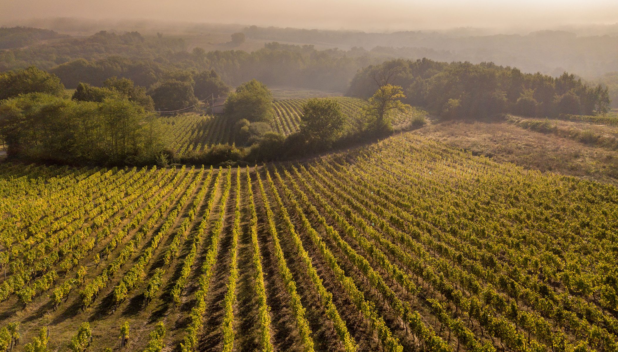 The unmissable villages of the Entre-Deux-Mers region