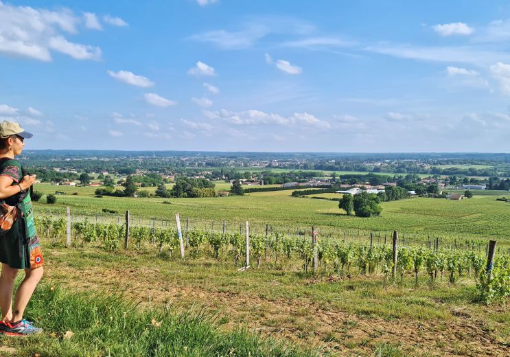 Les plus belles randonnées de Gironde