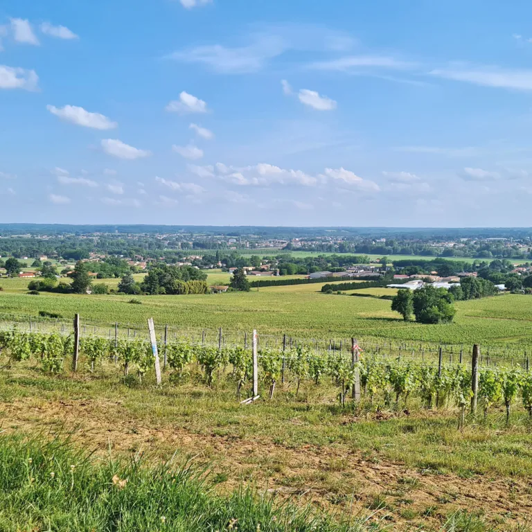 Les plus belles randonnées de Gironde