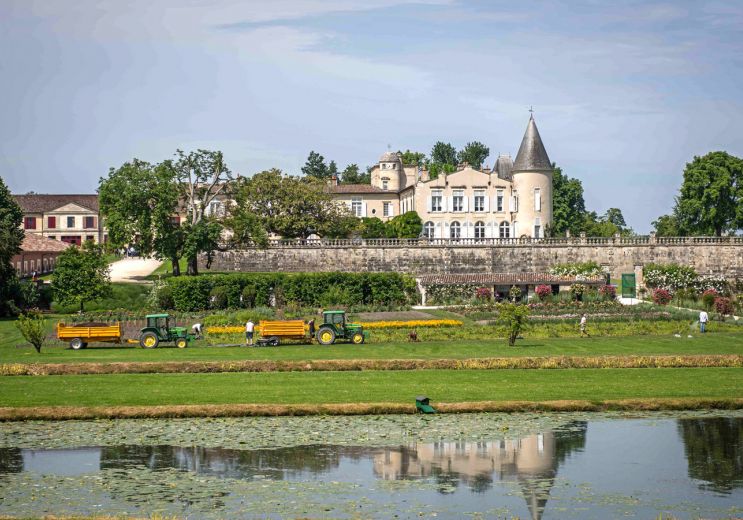 Top 10 des visites de vignobles dans le Bordelais