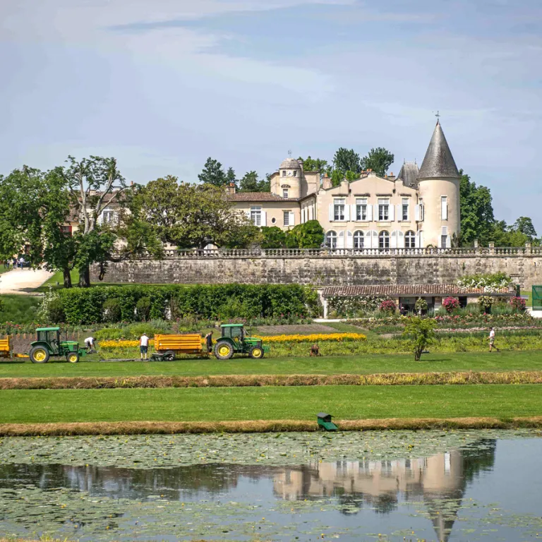 Top 10 wine tours in Bordeaux