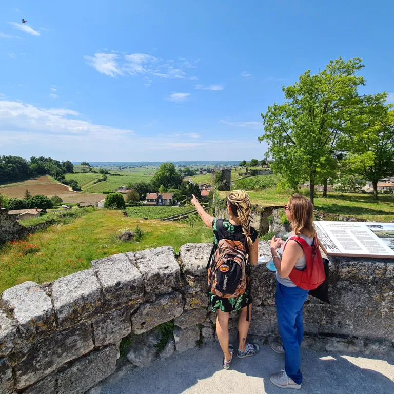 Visite de Saint-Emilion, entre Histoire et Pat ...