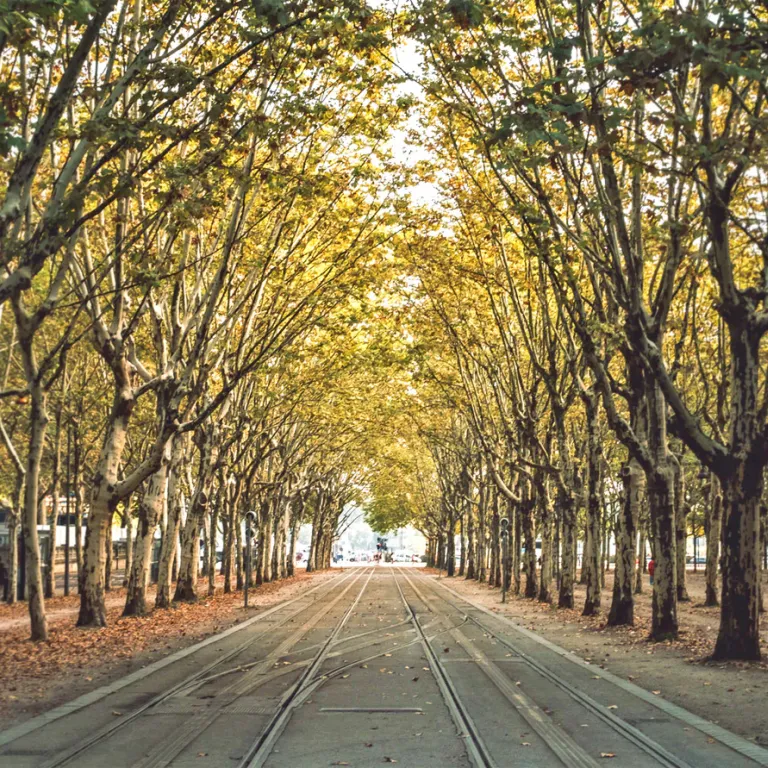 What to do on Sunday in Bordeaux?