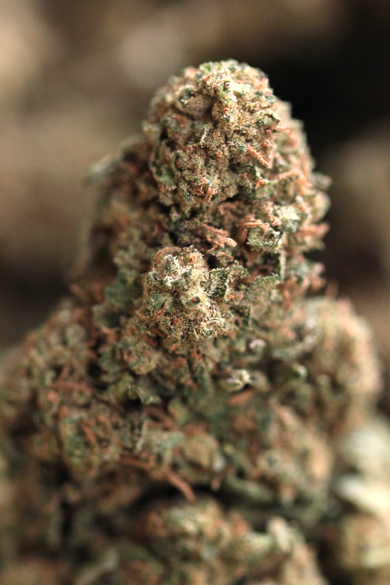 Cannabis flower