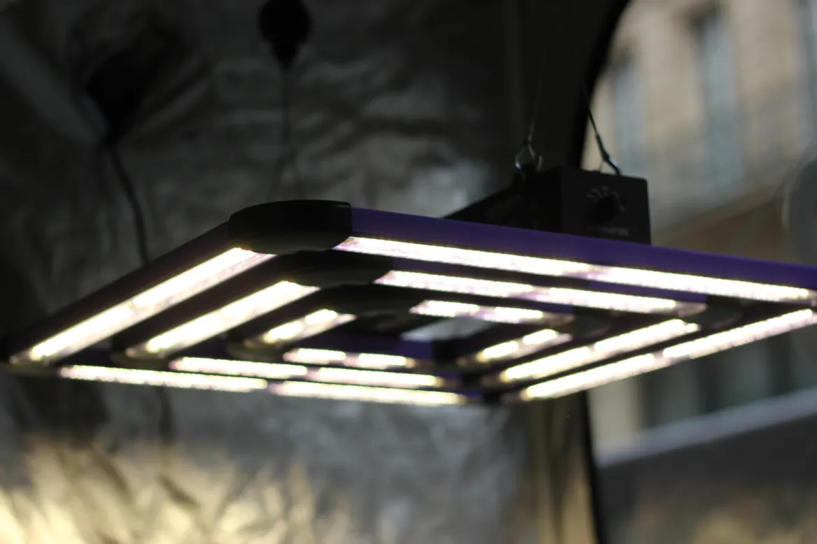 Lampe pour culture indoor