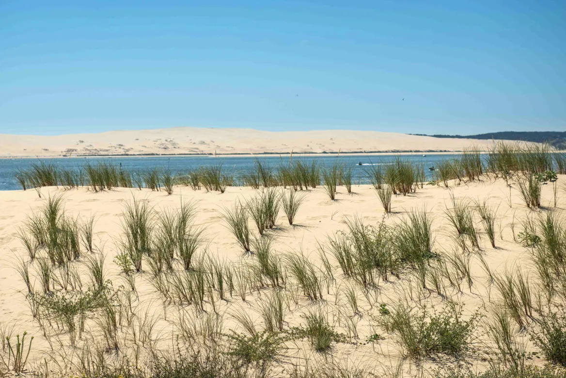 Vue sur la dune du Pilat depuis la Cap Ferret