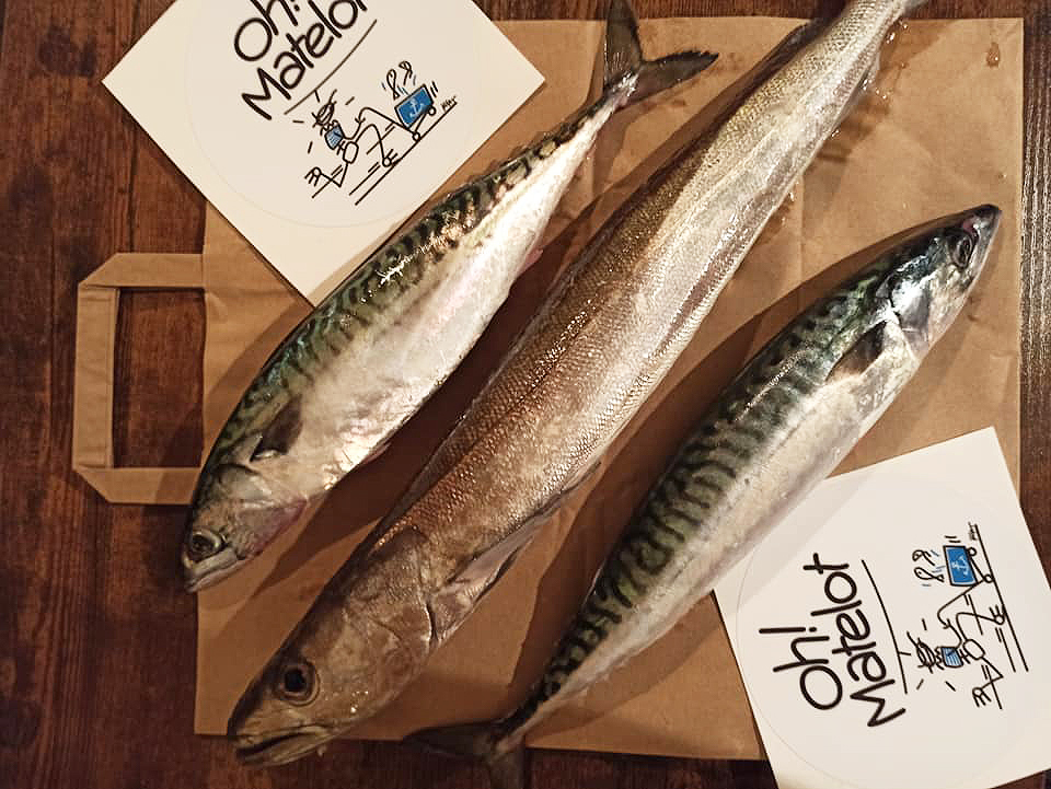 Line hake and mackerel