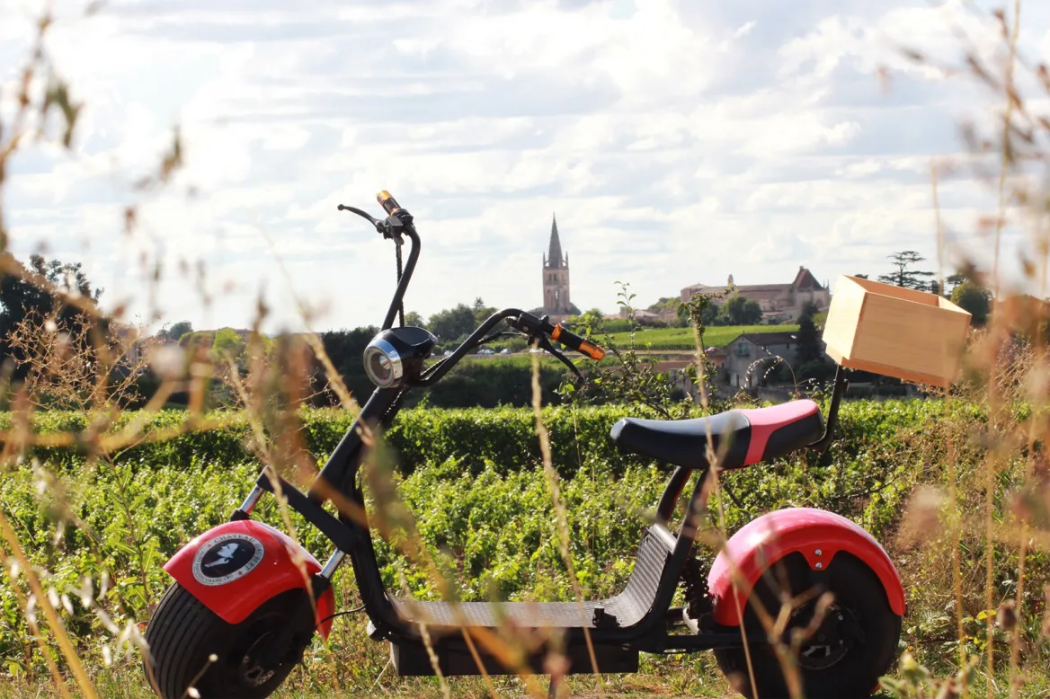 Chateau Gaubert