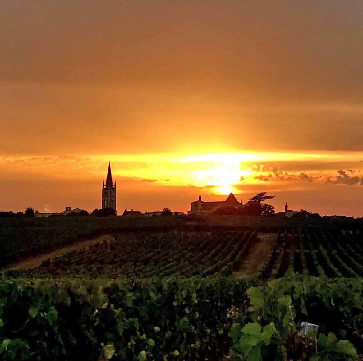 Chateau Gaubert