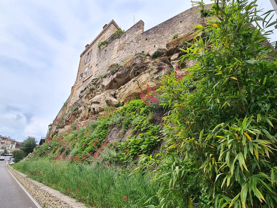La Réole limestone
