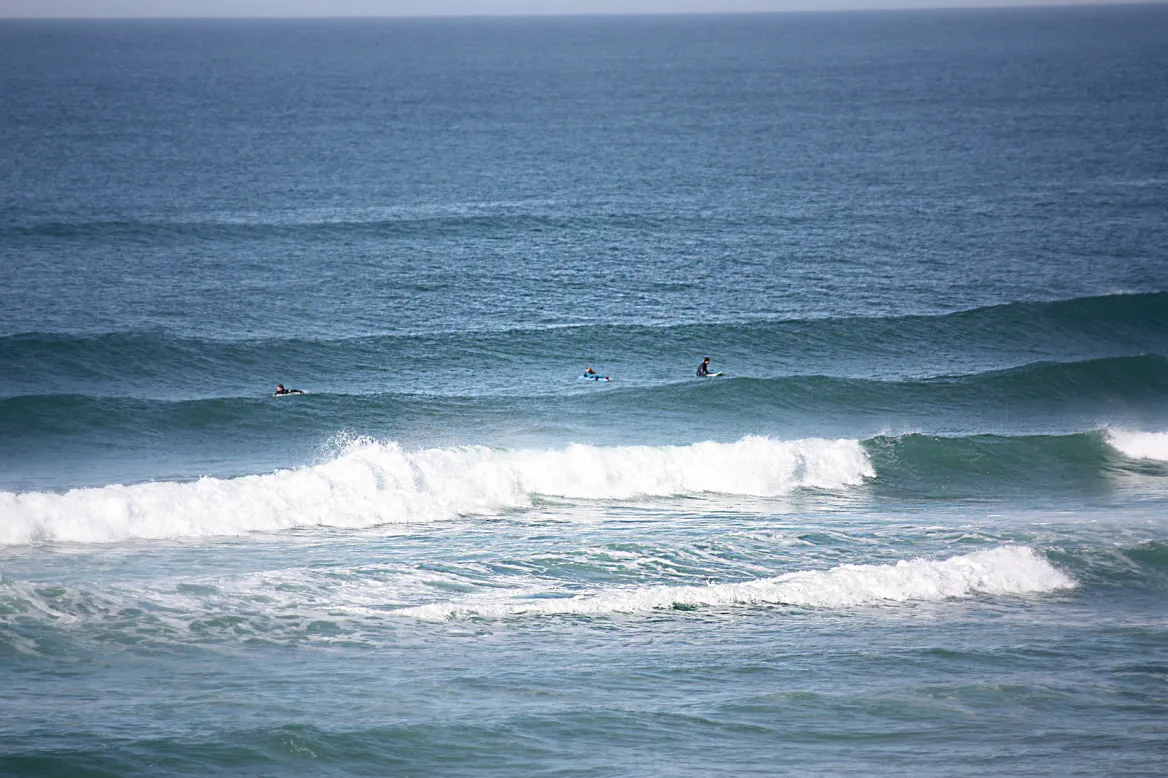 surf le porge