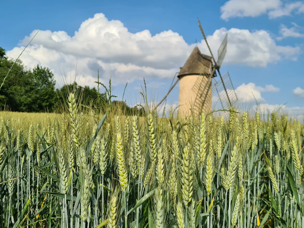 The Moulin de Cussol