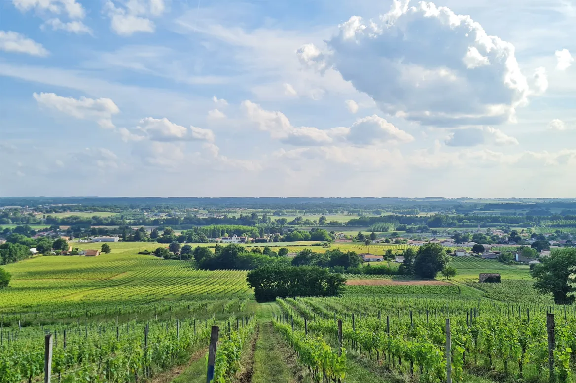 Panorama on the Garonne