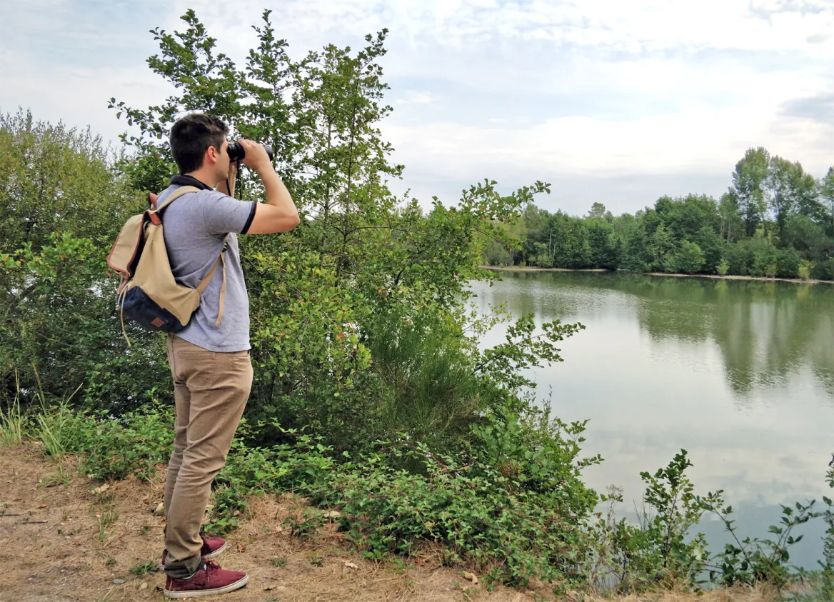 Bird watching