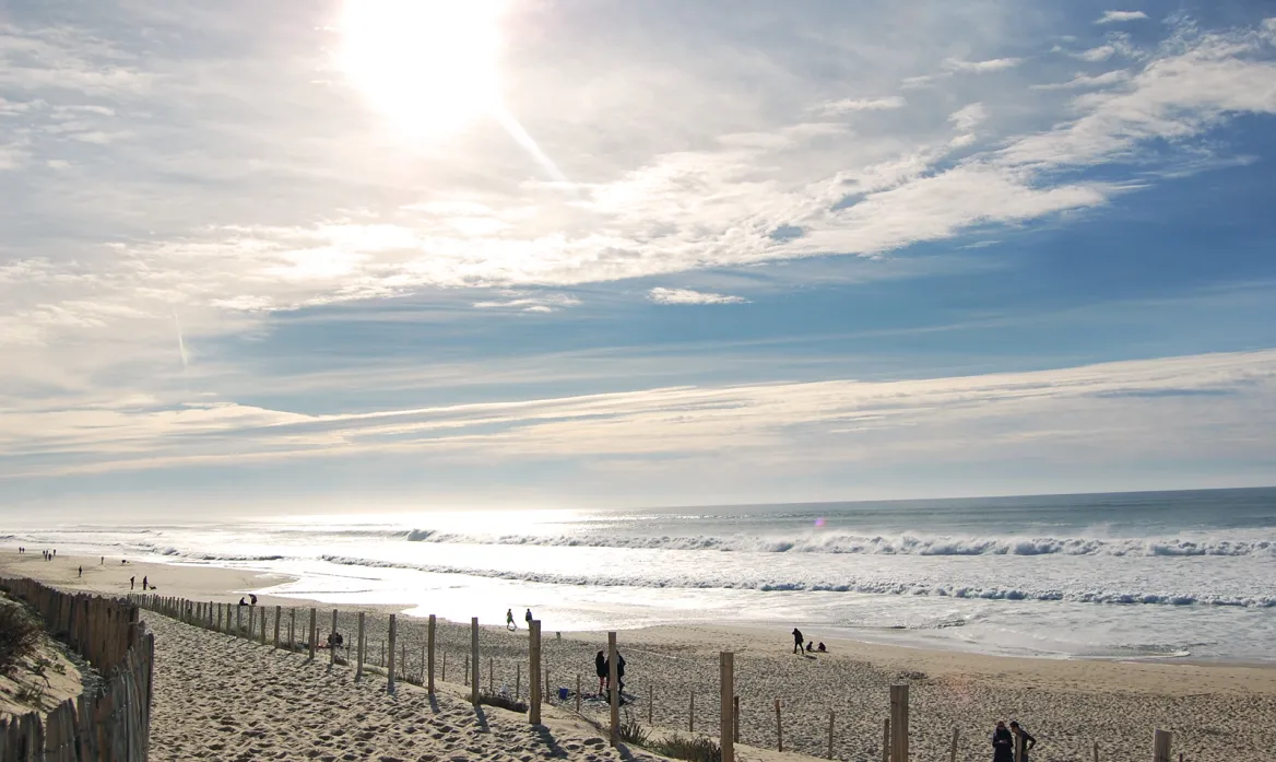 Jenny Beach