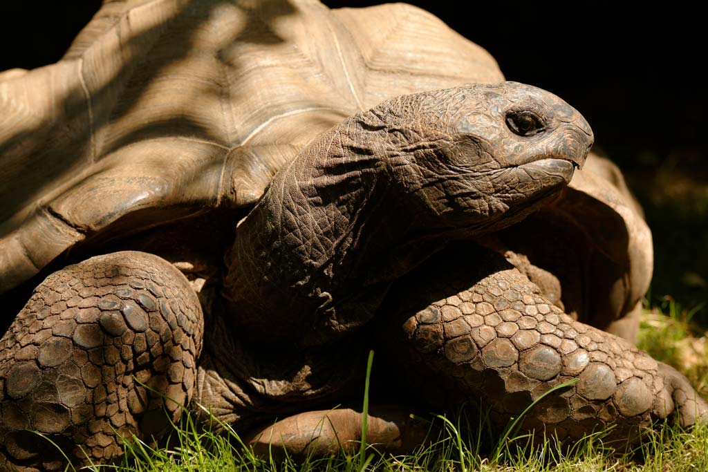 Zoo de Pessac