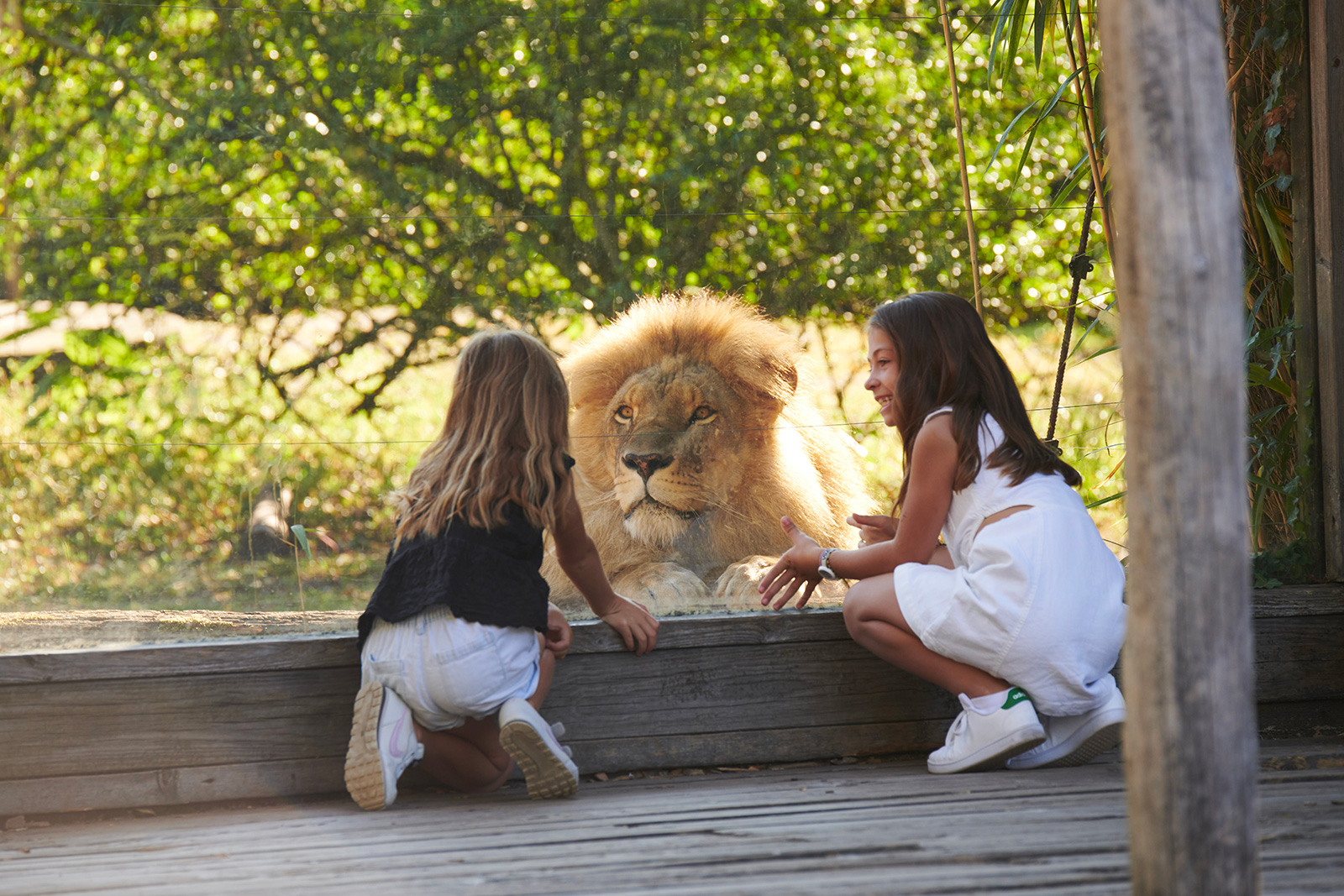 Zoo de Bordeaux-Pessac