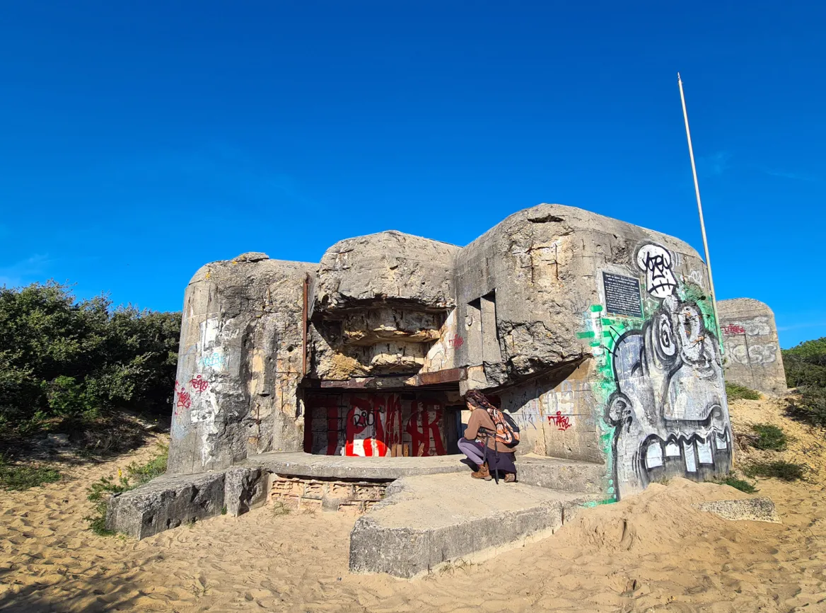 Arros Battery