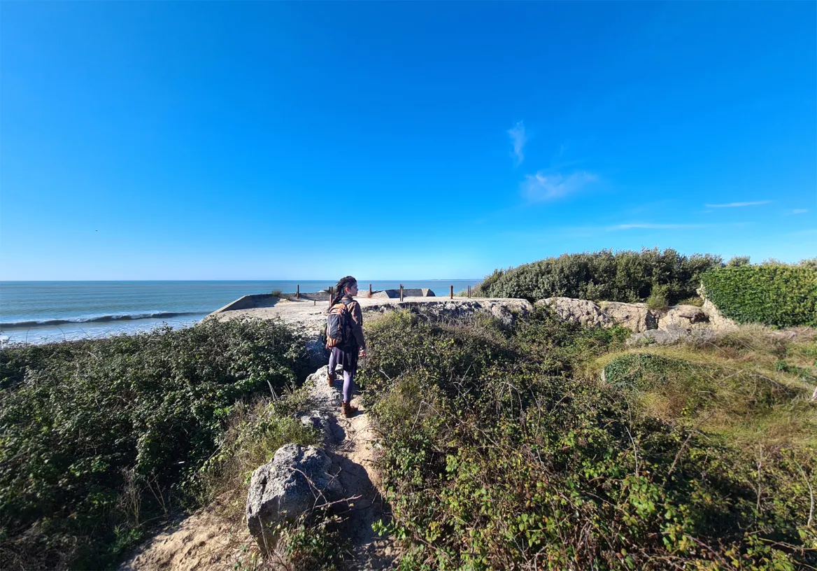 Arros Battery