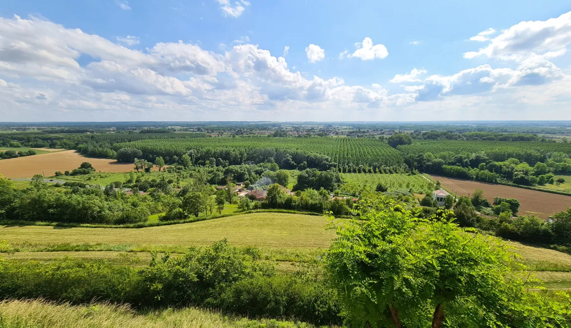 Sainte-Croix-du-Mont vue