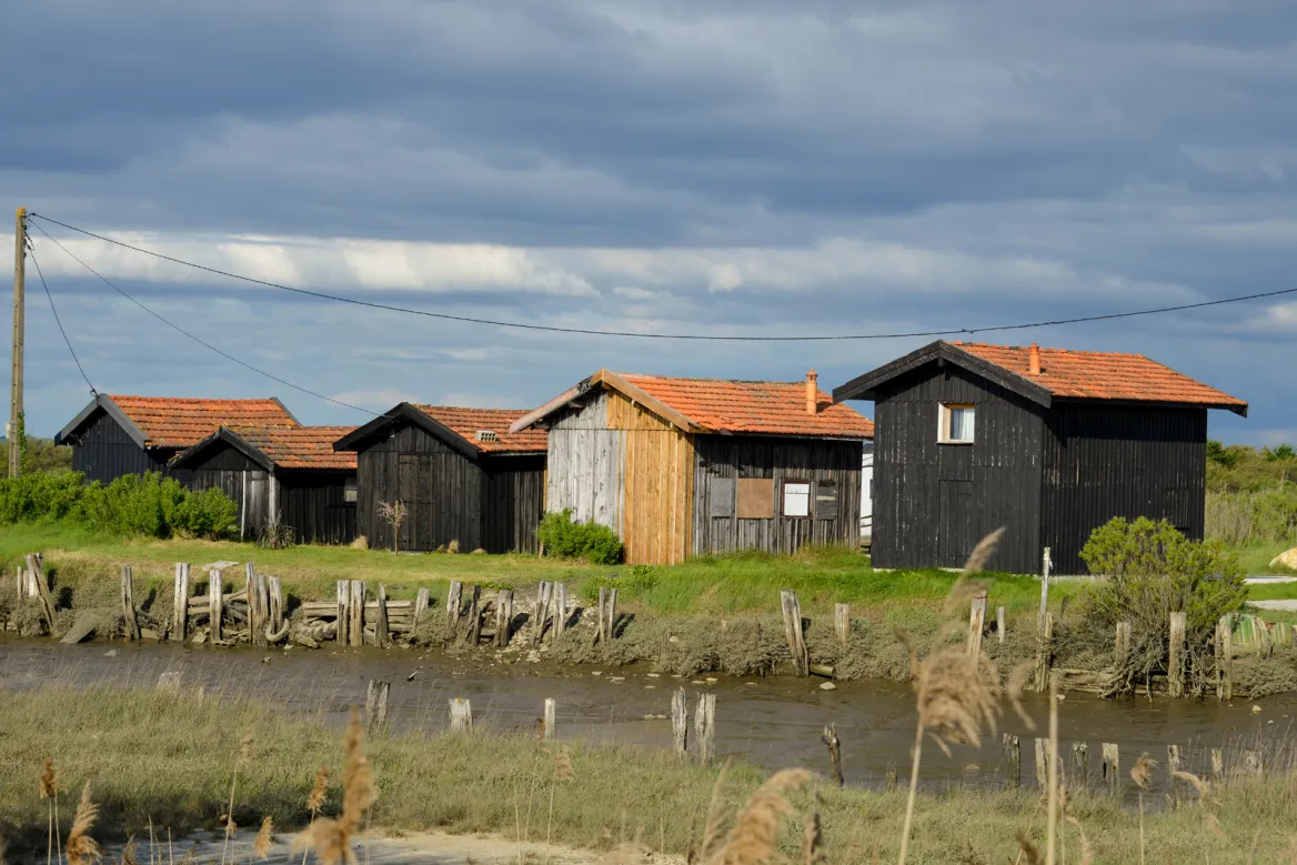 Mole Jag Port Images