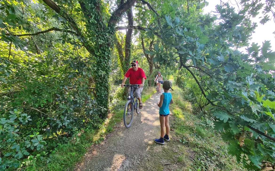 The Coastal Path