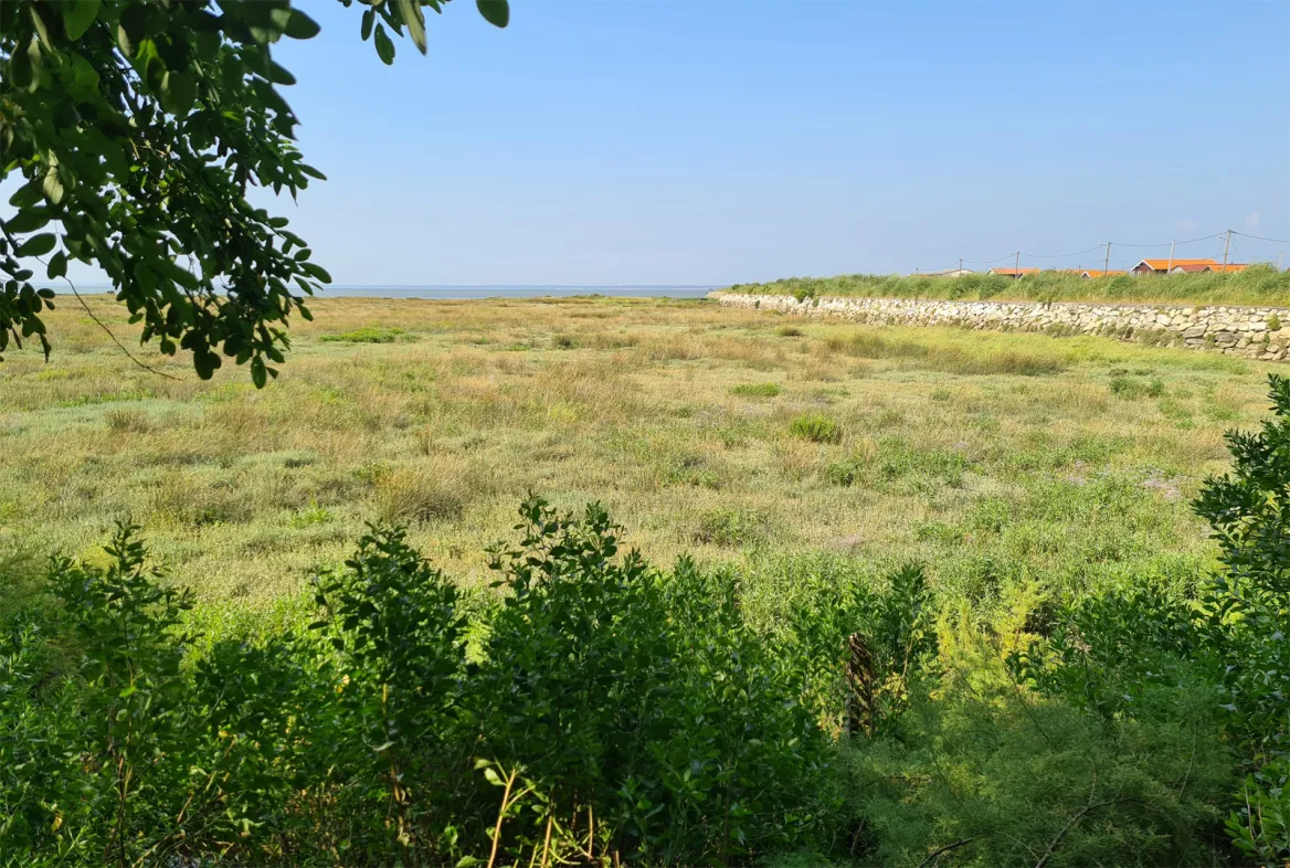 The Coastal Path