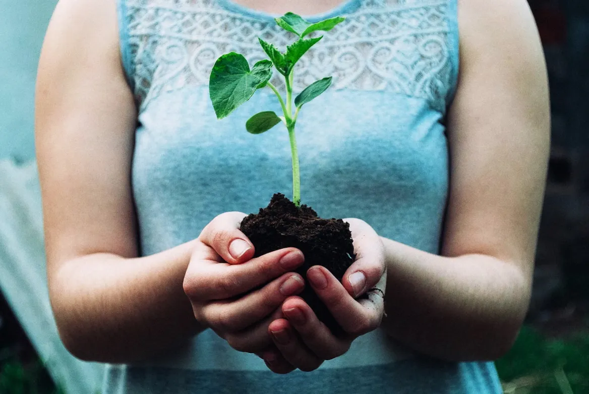 Photo credit © Nikola-Jovanovic - Unsplash