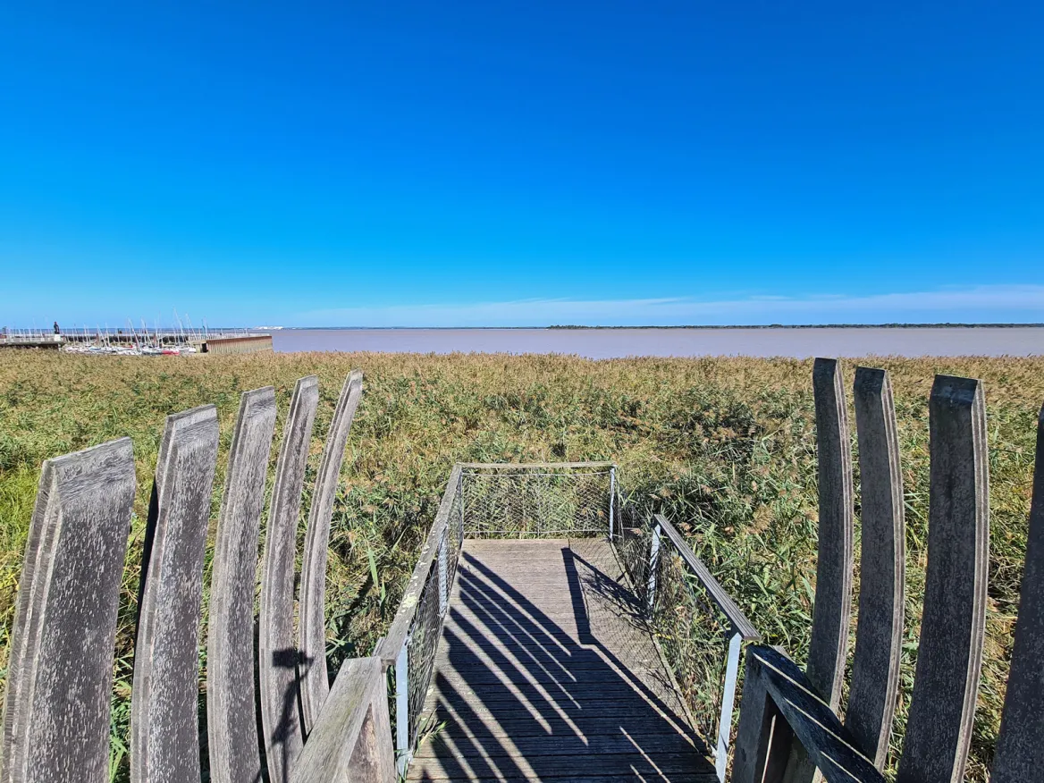 Pauillac and its natural surroundings - Photo credit © Guide Bordeaux Gironde